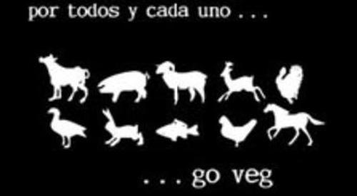 A QUE HUELEN LOS VEGANOS?